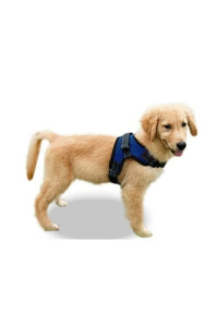Copatchy No Pull Reflective Adjustable Dog Harness with Handle (X-Small, Blue)