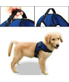 Copatchy No Pull Reflective Adjustable Dog Harness with Handle (X-Small, Blue)
