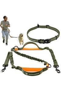Pet Dreamland Hands Free Leash for Running Large Dogs - Waist Dog Leash - Professional Shock Absorbing Bungee Harness - Reflective Dog Running Belt