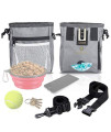 SunGrow Parrot Training Pouch, Training Bag for Treats, Kibbles, Toys & Accessories, Gray, Multiwear and Weather-Proof, 1 pc
