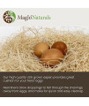 MagJo Pet Excelsior Aspen Shaving Nesting Liners (6 Pack)