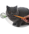 360-Degree Pet Toothbrush for Puppy, Small Dog and Cat, Colors May Vary