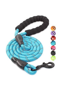 BAAPET 2/4/5/6 FT Strong Dog Leash with Comfortable Padded Handle and Highly Reflective Threads for Small Medium and Large Dogs (5FT-1/2, Blue)