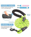 BAAPET 2/4/5/6 FT Strong Dog Leash with Comfortable Padded Handle and Highly Reflective Threads for Small Medium and Large Dogs (5FT-1/2, Green)