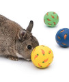 Niteangel Treat Ball, Snack Ball for Small Animals (Small, Yellow, Blue & Green)