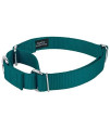 Country Brook Petz - Martingale Heavyduty Nylon Dog Collar and Double Handle Leash - Teal - Small