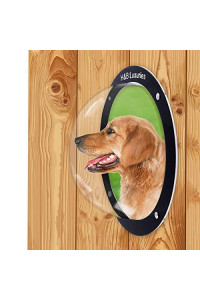 H&B Luxuries Durable Acrylic Dome Dog Window for Fence to View Outside for Satisfying Curious Pets FW058