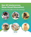 5Strands Pet Food Intolerance & Environment Sensitivity Test, 380 Items Tested, at Home Cat & Dog Health Test, Hair Sample Collection, Results in 5-7 Days