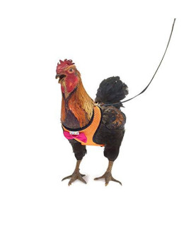 Yesito Chicken Harness Hen Size with 6ft Matching Leash - Adjustable, Resilient, Comfortable, Breathable, Small, Suitable for Chicken Weighing About 2.2 Pound,red (Small, Orange)