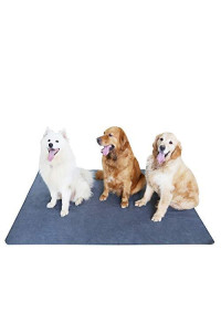 Non-Slip Dog Pads 65 x 48, Washable Puppy Pads with Fast Absorbent, Waterproof for Training, Whelping, Housebreaking, for Playpen, Crate, Kennel
