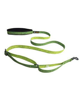 OllyDog Flagstaff Dog Leash with Padded Handle, Adjustable from 4ft to 6ft, Made from Durable Webbing, Control Safety Training Perfect for Everyday Walks and Adventures (Sage Bark)