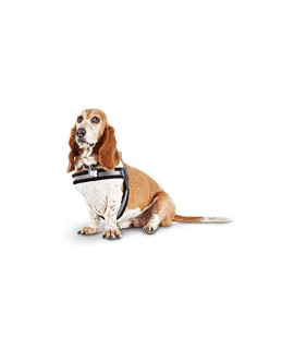 Petco Brand - Good2Go Quick-Fit Dog Harness, Small/Medium, Black