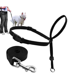 Dog Head Collar, Adjustable and Padded, No-Pull Training Tool for Dogs on Walks, Includes 1 Dog Leash and Free Training Guide, 3