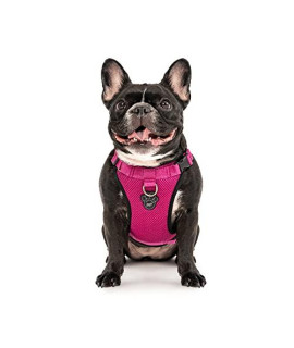 Canada Pooch Everything No Pull Dog Harness - Easy Walk Harness for Dogs with Breathable Mesh Exterior, Adjustable Dog Walking Harness Great for Dogs Pink / M