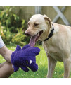 Hero Chuckles, Hippo Plush Dog Toy, Durable Stuffed Animal with 3-in-1 Squeaker