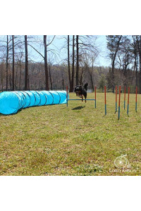 Lord Anson Dog Agility Set - Dog Agility Equipment - 1 Dog Tunnel, 6 Weave Poles, 1 Dog Agility Jump - Canine Agility Set for Dog Training, Obedience, Rehabilitation