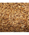 Amzey Dried Mealworms 1 LB, 100% Natural for Chicken Feed, Bird Food, Fish Food, Turtle Food, Duck Food, Reptile Food, Non-GMO, No Preservatives, High Protein and Nutrition, Zipped Bag