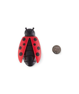 Petco Brand - Leaps & Bounds Seek & Swat Electronic Lady Bug Cat Toy, One Size Fits All