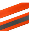 PetSpy Extra Dog Collar Strap - Compatible with All PetSpy Dog Training Shock Collars (Orange Reflective)