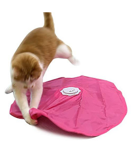 Interactive Cat Play-Catch The Tail-Electric, Rotating Feather , Motion, Automatic, Best Undercover Mouse Under Blanket cat Toy
