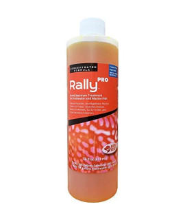 Ruby Reef Rally Pro (16 oz)