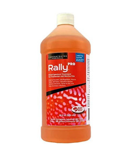 Ruby Reef Rally Pro (32 oz)