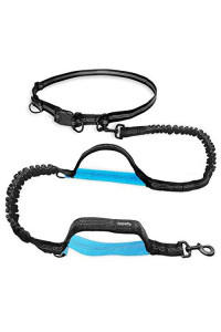 UPPETLY Hands Free Dog Running Leash with Adjustable Waist Belt, Dual Handle Elastic Bungees Retractable Rope for Medium and Large Dogs, Reflective Stitches for Walking Hiking Biking
