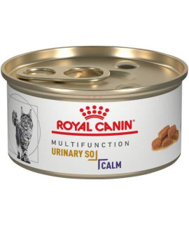 Royal Canin Feline Urinary SO + Calm Thin Slices in Gravy Canned Cat Food, 3 oz