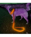 Candofly Glowing LED Dog Leash - USB Rechargeable Pet Dog Leashes 4 Ft Lighted Dog Leashes Reflective Dog Leash Keep Your Pets Be Seen & Safe in Darkness (Orange)