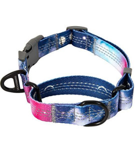 Leashboss Pattern Martingale Dog Collar, Reflective No-Pull Training Collar, Pattern Collection (Space Pattern - Large 19-24.5" Neck x 1"" Wide)"