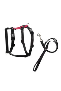Blue-9 Pet Products No-Pull Balance Harness and Loose Leash Walking Set Dogs, Made in The USA, Red, Medium/Large