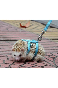 Adjustable Small Pet Hedgehog Harness for Training Playing Traction Rope (Blue)