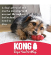 KONG - Dental - Durable Rubber, Teeth and Gum Cleaning Dog Toy - for Large Dogs