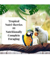 LAFEBERS Tropical Fruit Nutri-Berries Pet Bird Food, Made with Non-GMO and Human-Grade Ingredients, for Macaws and Cockatoos, 3 lb