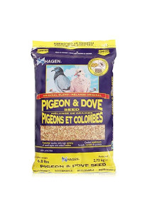 Hagen Pigeon & Dove Seed, Nutritionally Complete Bird Food, original version, 6 Pound (Pack of 1) (B2704)
