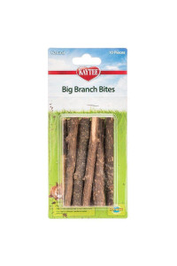 Big Branch Bites