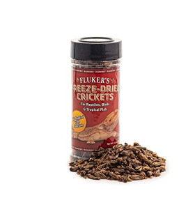 Flukers 72025 Freeze Dried Crickets, 1.2oz