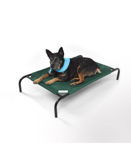 Coolaroo The Original Cooling Elevated Dog Bed, Indoor and Outdoor, Medium, Brunswick Green