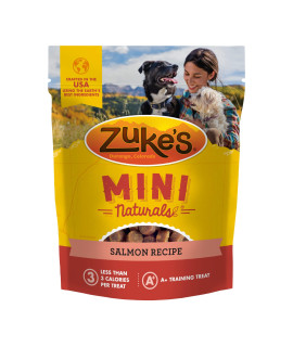 Zukes Mini Naturals Training Dog Treats Salmon Recipe - 16 Oz Bag