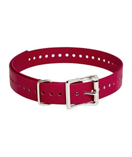 SportDOG Brand 1 Inch Collar Strap, Red