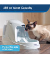 PetSafe Drinkwell Platinum Dog and Cat Water Fountain, Automatic Drinking Fountain for Pets, 168 Ounce