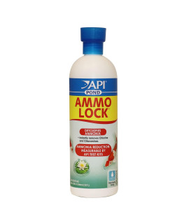 API POND AMMO-LOcK Pond Water Ammonia Detoxifier 16-Ounce Bottle
