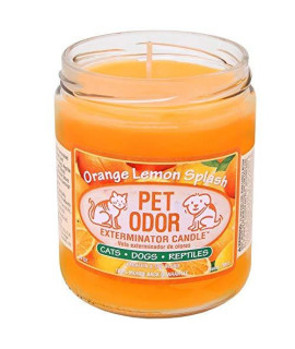 Pet Odor Exterminator Candle, Orange Lemon Splash,13 oz