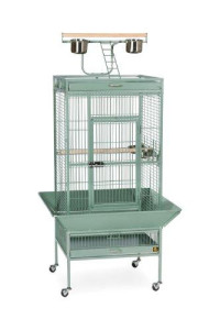 Prevue Pet Products Wrought Iron Select Bird Cage 3152SAGE Sage Green, 24-Inch by 20-Inch by 60-Inch
