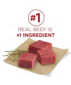 Purina ONE Natural Dry Dog Food, SmartBlend Small Bites Beef & Rice Formula - 16.5 lb. Bag