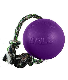 Jolly Pets Romp-n-Roll Rope and Ball Dog Toy, 8 Inches/Large, Purple