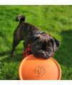 Jolly Pets Flexible, Floating Flyer Dog Toy, Medium/7.5-Inch, Orange