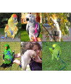 The AVIATOR Pet Bird Harness and Leash: Medium Green