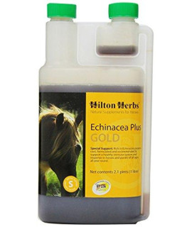 Hilton Herbs Echinacea Plus Gold Liquid Herbal Immunity Supplement for Horses, 2.1pt Bottle