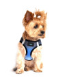 American River Dog Harness Ombre Collection - Midnight Sky Large